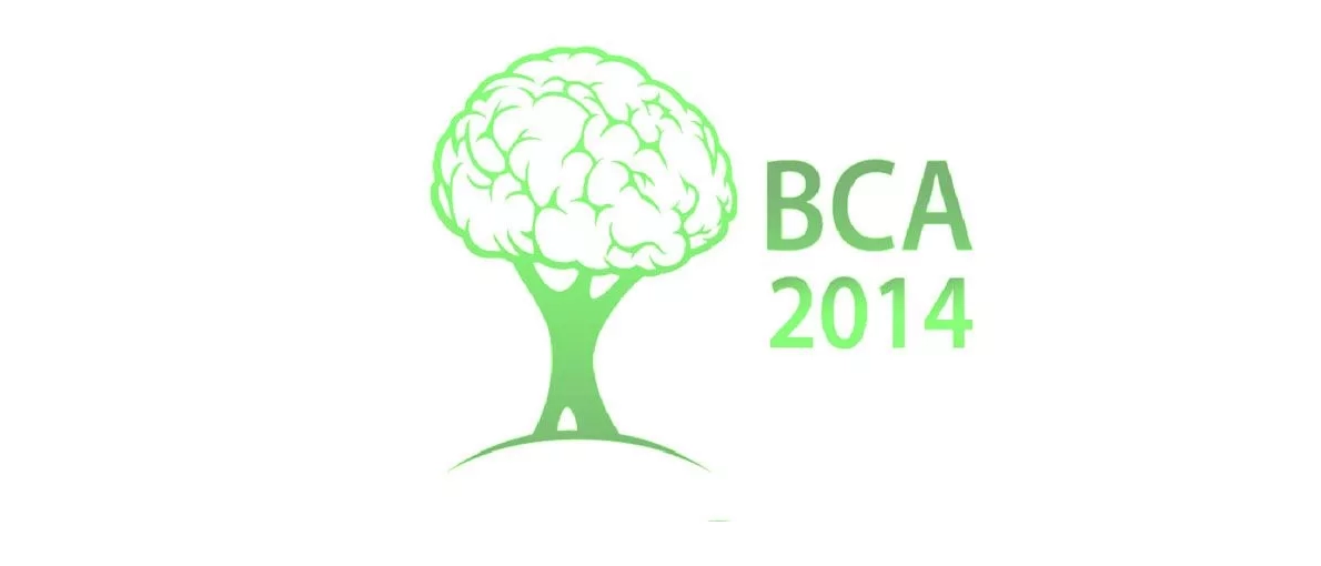 Афиша BCA 2014